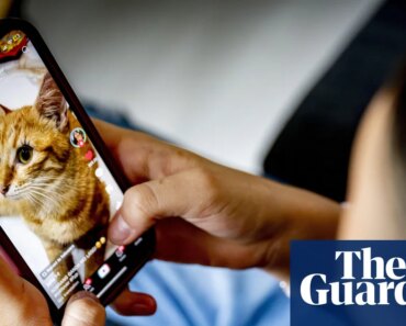 Parliamentarians reject the ban on social networks for minors under 16 years of age | Social media ban