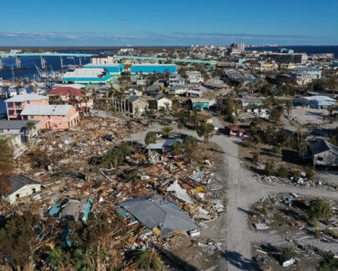Planting trees in the ocean can act as a huge carbon sink and save millions of dollars in storm damage each year. What prevents us from doing so?