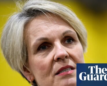 Plibersek accuses Mafs of implementing ‘coercive control’ after contestant wanted woman ‘obedient’ like a dog | Tanya Plibersek Plibersek accuses Mafs of implementing ‘coercive control’ after contestant wanted woman ‘obedient’ like a dog | Tanya Plibersek