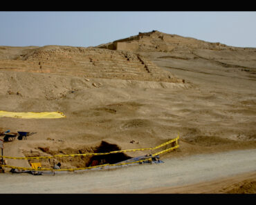 Pre-Inca culture acquired Amazonian parrots from hundreds of miles away to use their feathers to decorate the dead, new analysis reveals