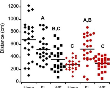 Predation risk affects male activity and mating interactions with well-nourished females in the wolf spider Pardosa milvina (Araneae: Lycosidae)