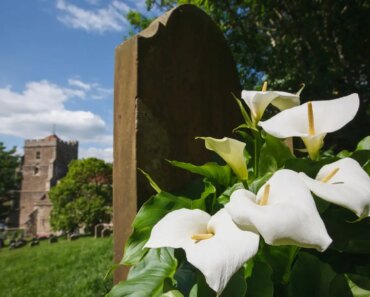 Prolonged bereavement: Why some people can’t move on from the death of a loved one Prolonged bereavement: Why some people can’t move on from the death of a loved one