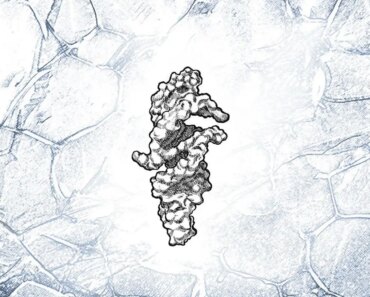 RNA strand that can almost replicate itself may be the key to the origin of life