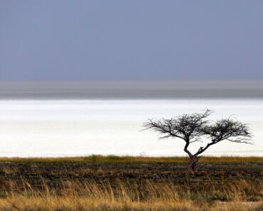 Rainbow colored phantom lakes appear around Namibia’s “Great White Place” – Earth from space