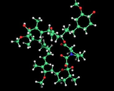 Rapamycin can add years to your life, or none at all – it’s a lottery