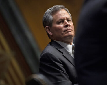 Republican Sen. Steve Daines of Montana will not seek re-election