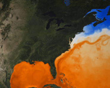 Science news this week: AMOC’s collapse signal, the Sun’s galactic migration, the world’s smallest QR code and the dying days of oil
