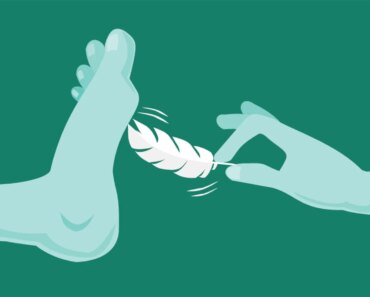 Scientists built a wedge robot to solve one of biology’s strangest mysteries