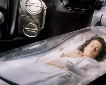 Scientists revive activity in frozen mouse brains for the first time