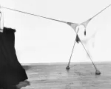 Senga Nengudi, David Thomson receive Rauschenberg Centennial Prize