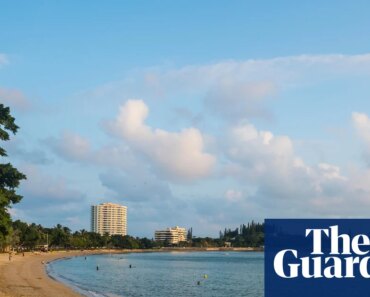 Shark culls launched after fatal attack cause division and anger in New Caledonia | New Caledonia Shark culls launched after fatal attack cause division and anger in New Caledonia | New Caledonia