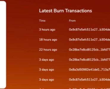 Shiba Inu Price Analysis: Burn Rate Hits 53,000% – What Does It Mean?