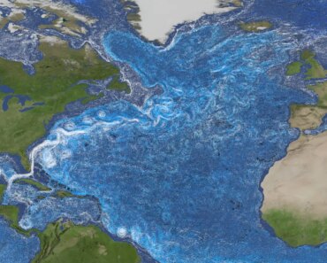Shifts in the Gulf Stream can signal ocean current collapse