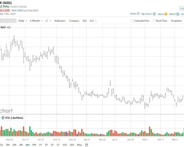 Should you follow the rally in New Stock after its amazing profit?