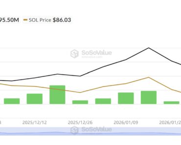 Solana ETF Flow, DEX Activity, Fee Yield Growth: Is SOL Discounted?