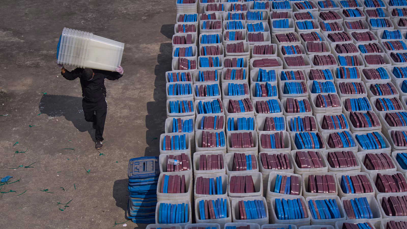 Some important figures on Nepal’s Parliamentary Elections