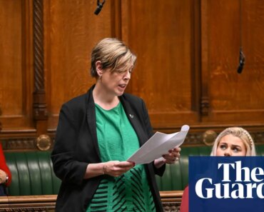 Sons were suspects in almost one in five murders of women in the UK last year, study shows | Violence against women and girls