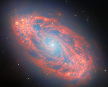 Spectacular spiral galaxy revealed by the James Webb Space Telescope Image of the Day for March 4, 2026