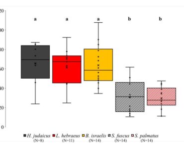 Sprint performance is linked to surface activity in scorpions