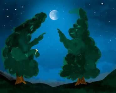 Spruce trees stumped (sigh) when it comes to predicting eclipses