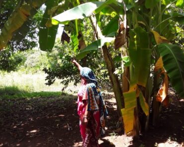 Strategic PPPs invest in young agribusiness owners