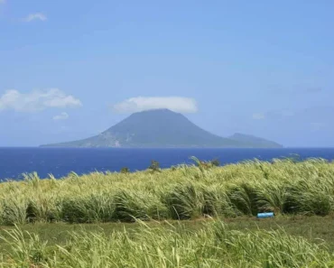 Sugar prices are supported by strength in crude oil