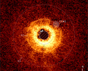 TWA 7 b: The James Webb Space Telescope finds its first new exoplanet