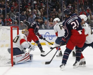 Tame a fighting panda with a red-hot blue jacket.