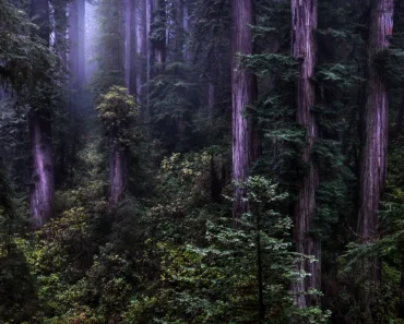 Ted Rigoni: Precision training, emotion driven