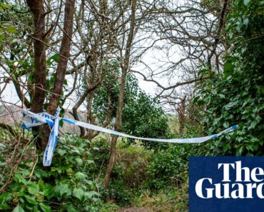 Teenagers committed suicide in Dorset after their baby was taken into care, inquest finds | Dorset