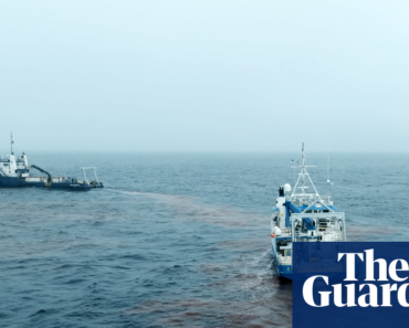 Testing the waters: can pumping chemicals into the ocean help stop global warming? | Pollution