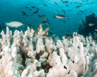 The Earth is now warming twice as fast as in previous decades