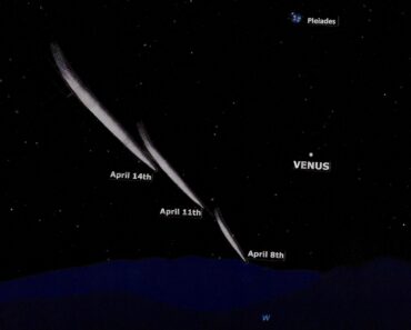 The ‘Easter comet’ could be visible in the daytime sky in April – if it survives a fiery dive past the sun