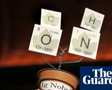 The Ig Nobels will move their awards to Europe due to concerns about travel visas to the United States | Ig Nobel Prizes