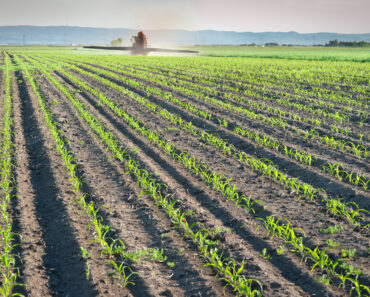 The Iran war could create a “fertilizer shock” that affects agriculture and increases food prices