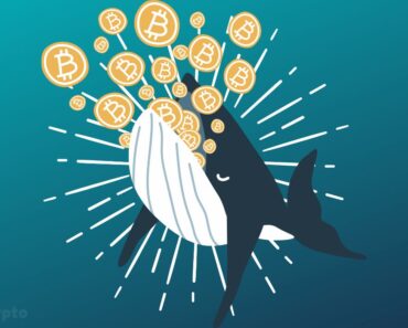 The Strategy Is Predicted To Exceed Bitcoin’s Estimated Satoshi Satoshi By 2027 ⋆ ZyCrypto The Strategy Is Predicted To Exceed Bitcoin’s Estimated Satoshi Satoshi By 2027 ⋆ ZyCrypto