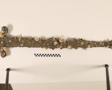 The Sword in the Sea: How a Lucky Grad Student Found His Second Crusader Sword While Swimming Off the Coast of Israel The Sword in the Sea: How a Lucky Grad Student Found His Second Crusader Sword While Swimming Off the Coast of Israel