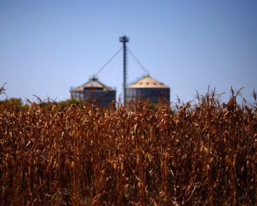 The escalating Iran conflict threatens Brazil’s grain exports and fertilizer supplies