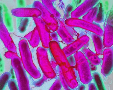 The first-of-its-kind vaccine protects children against deadly E. coli infections