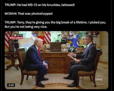 The neurocritic: 100 days of lies