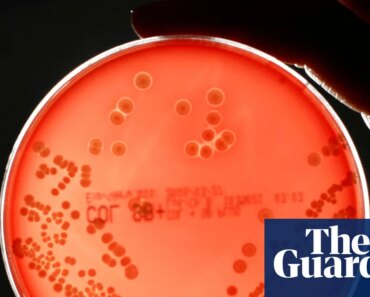 The pipeline of new drugs to combat superbugs is “worryingly thin,” experts warn | pharmaceutical industry