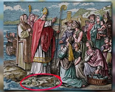 The real reason Ireland doesn’t have snakes