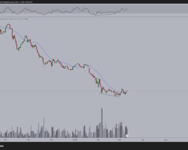The reversal of the bitcoin-gold ratio points to a window of opportunity