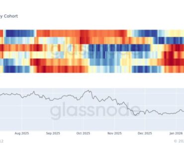 The sale of bitcoins in all wallets has increased and reached 70 thousand dollars The sale of bitcoins in all wallets has increased and reached 70 thousand dollars