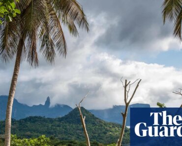 The villagers of Príncipe, the ‘African Galapagos’, will receive money for protecting the ecosystem | Sao Tome and Principe