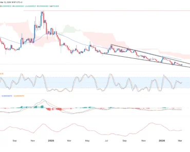 This is why the price of Shiba Inu Coin is on the rise