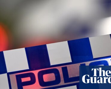 Three teenagers charged with murder after man was stabbed while trying to intervene in fight at Melbourne train station | Melbourne