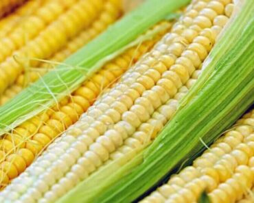 Tides are weak Tuesday AM, but better than overnight lows