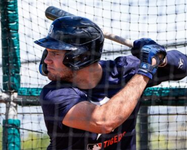 Tigers’ Josue Briceño underwent wrist surgery.