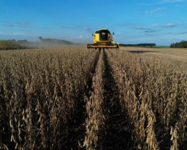 Tighter checks are disrupting Brazilian soybean exports to China